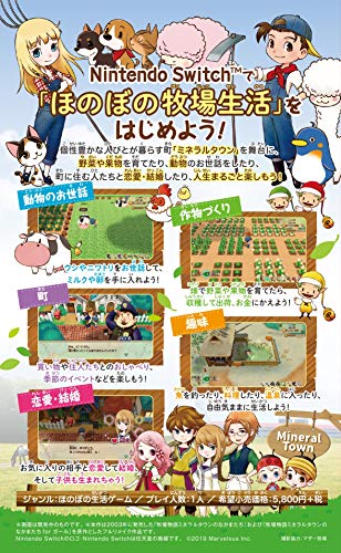 Harvest Moon Story of Seasons Friends of Mineral Town Nintendo Switch (Idioma Japonés)