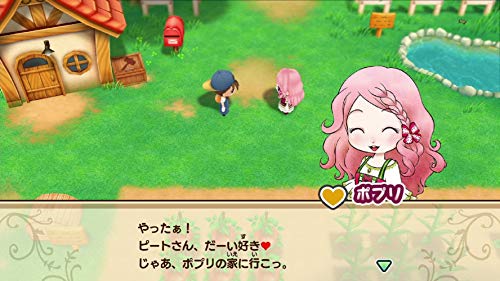 Harvest Moon Story of Seasons Friends of Mineral Town Nintendo Switch (Idioma Japonés)
