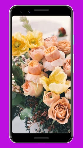 HD Flower Wallpaper & Background
