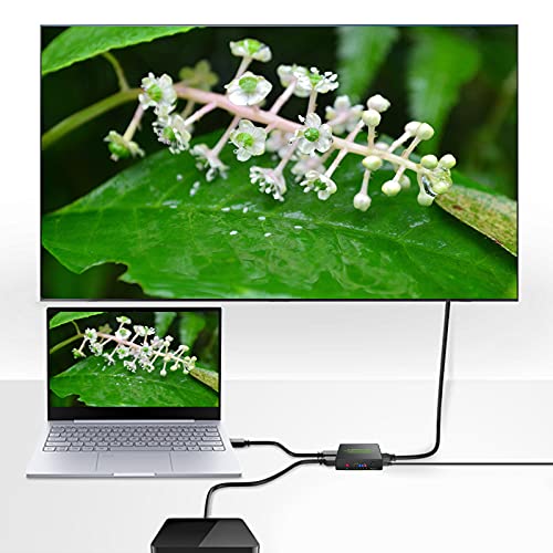 HDMI Switch 3 x 2 Salidas Conmutador HDMI 4K 3D Distribuidor Automático con Mando a Distancia Cable HDMI 1.4 para HDTV Monitor DVD PC Proyector Sky Box PS3 PS4 Xbox