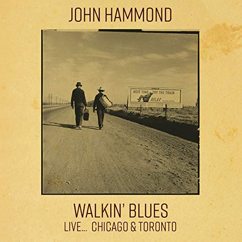 Hellhound On My Trail (Live At The Chicago Blues Festival, Grant Park 16th June 1991)