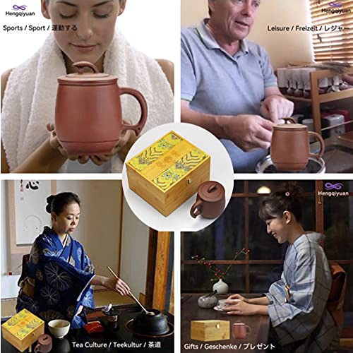 Hengqiyuan Juego de Té Yixing Hecho a Mano en Arcilla Kung Fu Zisha Hu con Filtro 9.5 Oz/280 CC Infuse Brew Tea Maker Set para Regalos Navideños de Alta Gama,Health teapot