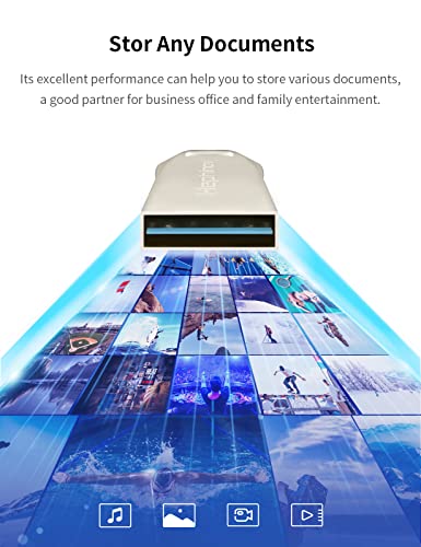 Hephinov Memoria USB de 64 GB, Memoria Flash USB 3.0 hasta 100MB/s, USB Stick con Carcasa de Metal Duradera, Pendrive para Nintendo Switch/PC/Computadora/Laptop