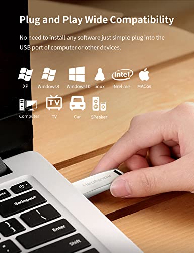 Hephinov Memoria USB de 64 GB, Memoria Flash USB 3.0 hasta 100MB/s, USB Stick con Carcasa de Metal Duradera, Pendrive para Nintendo Switch/PC/Computadora/Laptop