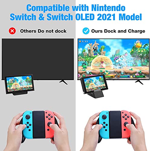 HEYSTOP Cargador para Nintendo Switch, Carga Rápida USB Type-C Compatible con Joy con Mandos TV/Nintendo Switch/Switch Lite/Switch OLED