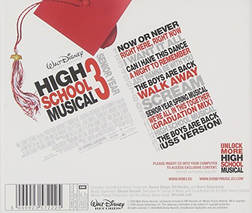 high school musical 3 - senior year
