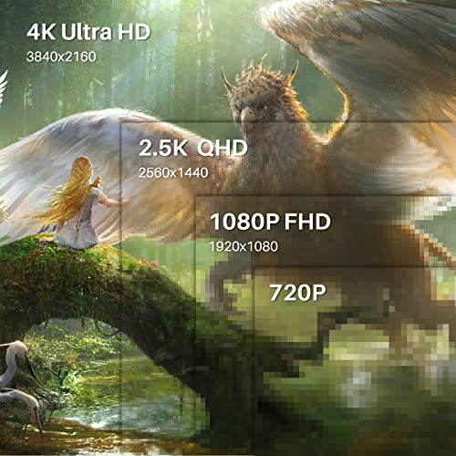 HUION Kamvas Pro 16 4K UHD Tableta Gráfica con Pantalla, Monitor de 15,6 Pulgadas, Antirreflejo Laminado Completo, Función de Inclinación 8192 Lápiz óptico sin Batería PW517 para PC, Mac, Android