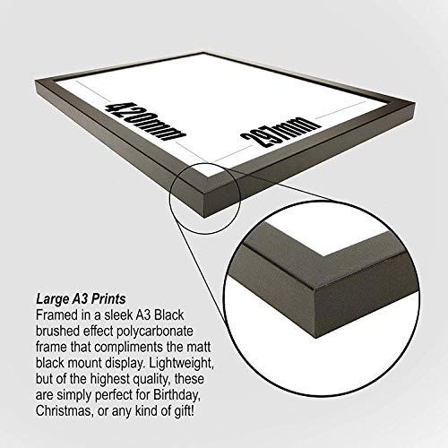 HWC Trading A3 para La Trilogía De Star Wars Colección del Cartel De La Película Firmado Autógrafos Impresos Enmarcada Hamill, Ford, Fisher, Guinness Fotográfica