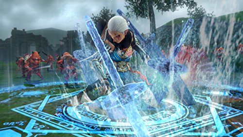 Hyrule Warriors [Importación Francesa]