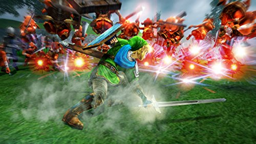 Hyrule Warriors [Wii U] [Importación Alemana]