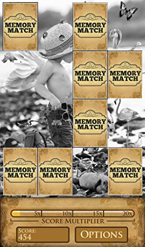 Icarus Memory Match