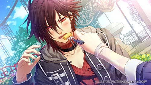 IDEA FACTORY AMNESIA LATER×CROWD FOR NINTENDO SWITCH REGION FREE JAPANESE VERSION [video game]