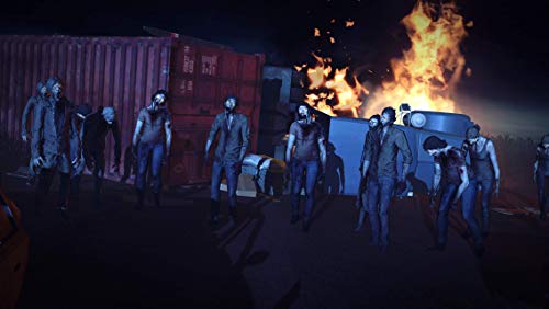 Into the Dead 2 for Nintendo Switch [USA]