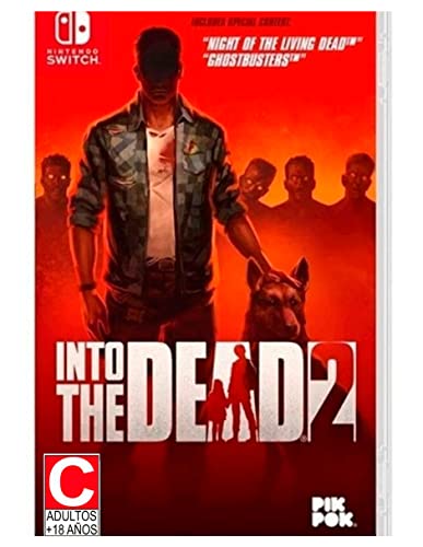Into the Dead 2 for Nintendo Switch [USA]