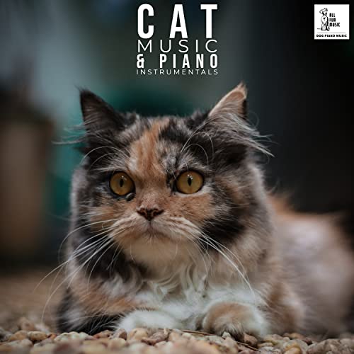 Jazz Piano Cat