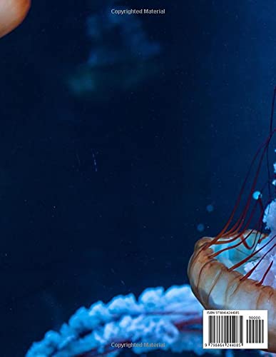 Jelly fish background notebook: Perfet book for aqua lovers lined notebook with 121 pages 8.5x11 dimention