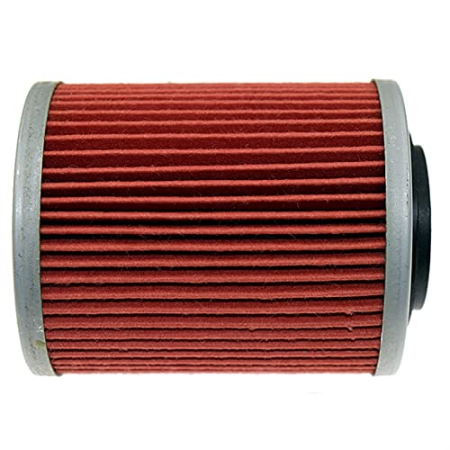 JINGHUI PENGSTOR Ajuste para Can-Am ATV 400 450 500 570 650 800 800R 850 1000 Outlander H.O.MAX EFI x XT Renegade Filtro de Aceite de Motocicleta (Color : 2 PC)