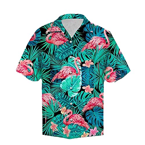 JJBKT Tropical Hawaii 3D impresión camisa verano playa manga corta camisa de los hombres Harajuku arce maleza camisa, 01., 4XL