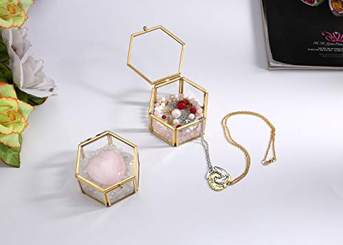 JSDDE Joyero de cristal con flores conservadas para pendientes y collares