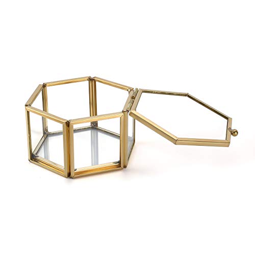 JSDDE Joyero de cristal con flores conservadas para pendientes y collares