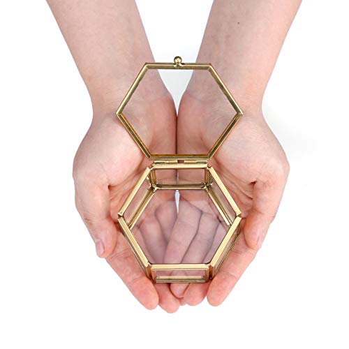 JSDDE Joyero de cristal con flores conservadas para pendientes y collares