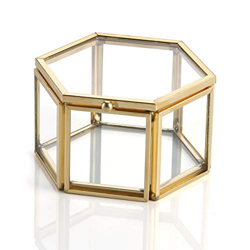 JSDDE Joyero de cristal con flores conservadas para pendientes y collares