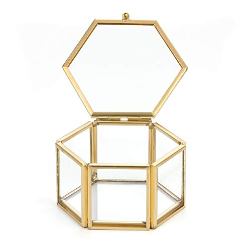 JSDDE Joyero de cristal con flores conservadas para pendientes y collares