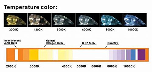 Juego de 2 bombillas de xenón H1 de 35 W, 6000 K, 12 V, de repuesto para faros delanteros