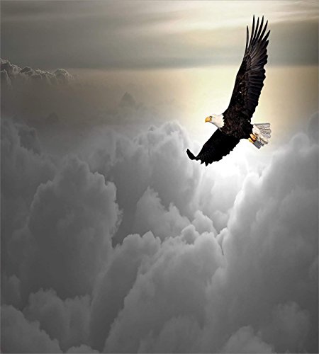Juego de funda nórdica Eagle 3 PCS, Majestic Creature volando por encima de las nubes Liberty Democracy and Freedom, juego de sábanas para niños / adolescentes / adultos / niños, gris pálido amarillo