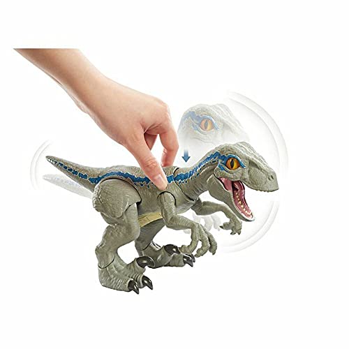 Jurassic World Baby Blue Dino Velociraptor, dinosaurio de juguete (Mattel GFD40)