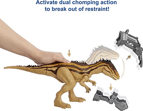 Jurassic World Mega Destructores Carcharodontosaurus Dinosaurio articulado con ataques, Figura de Juguete para niños (Mattel HBX39)
