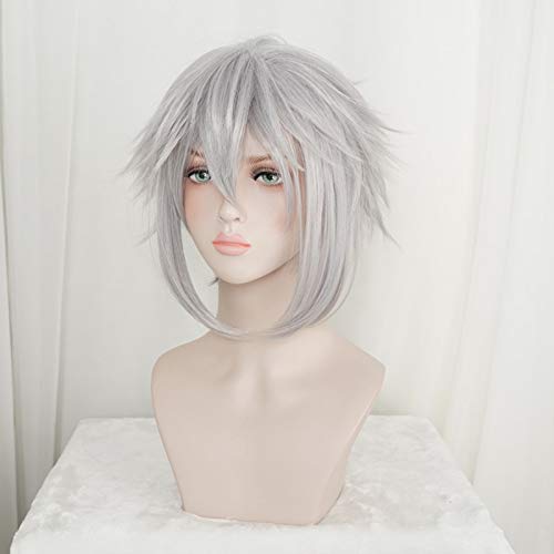 Kingdom Hearts III Riku Iron- Grey Short Wig Cosplay Costume Men Women Heat Resistant Synthetic Hair Wigs+ Wig Cap