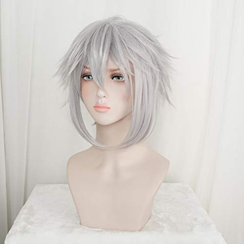 Kingdom Hearts III Riku Iron- Grey Short Wig Cosplay Costume Men Women Heat Resistant Synthetic Hair Wigs+ Wig Cap