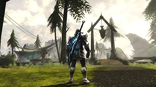 Kingdoms of Amalur Re-Reckoning (PC Game)