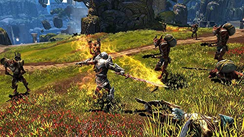 Kingdoms of Amalur Re-Reckoning (PC Game)