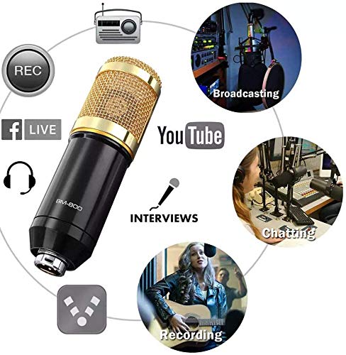 Kit de micrófono de Condensador V8 con Tarjeta de Sonido en Vivo BM-800, Brazo de suspensión Ajustable, Soporte de Choque de Metal y Filtro Pop de Doble Capa para Estudio de grabación (Dorado)