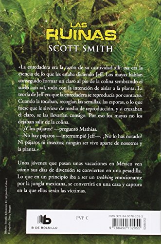 Las ruinas (Ficción)