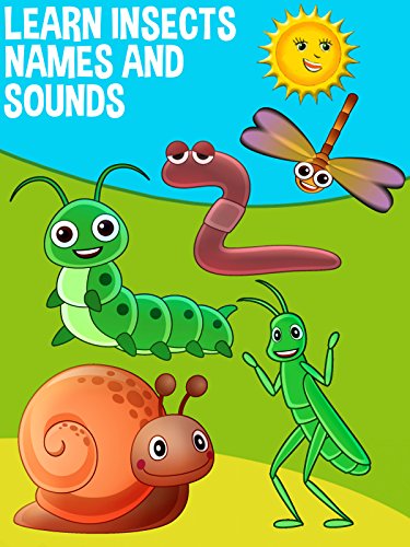Learning Insects Names and Sounds