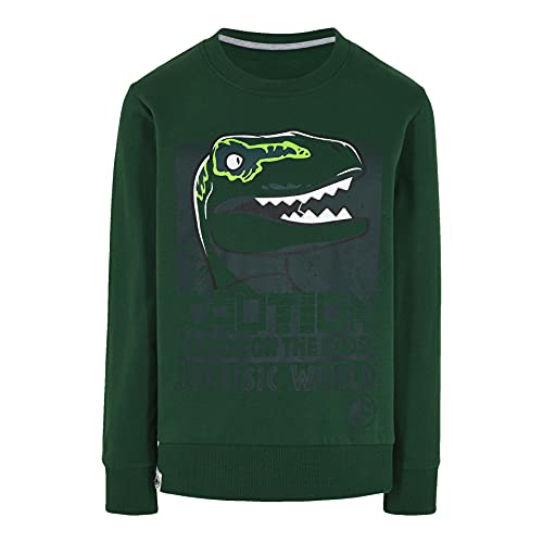 LEGO M12010233 Sudadera, 875, 152 para Niños