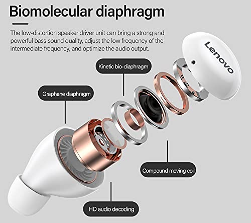 Lenovo LP11 TWS - Auriculares inalámbricos Bluetooth 5.0 con reducción de Ruido y micrófono para Auriculares, 30 Horas de autonomía (Blanco)