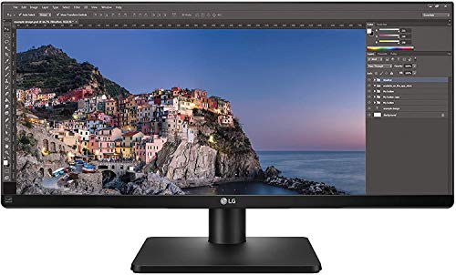 LG 29UB67-B - Monitor Profesional UltraWide WFHD de 73.7 cm (29") con Panel IPS (2560 x 1080 píxeles, 21:9, 300 cd/m², sRGB >99%, 1000:1, 5 ms GtG, 75 Hz, DPx1, HDMIx2, DVI x1, USBx4) Color Negro