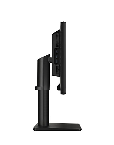 LG 29UB67-B - Monitor Profesional UltraWide WFHD de 73.7 cm (29") con Panel IPS (2560 x 1080 píxeles, 21:9, 300 cd/m², sRGB >99%, 1000:1, 5 ms GtG, 75 Hz, DPx1, HDMIx2, DVI x1, USBx4) Color Negro