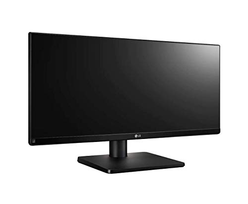 LG 29UB67-B - Monitor Profesional UltraWide WFHD de 73.7 cm (29") con Panel IPS (2560 x 1080 píxeles, 21:9, 300 cd/m², sRGB >99%, 1000:1, 5 ms GtG, 75 Hz, DPx1, HDMIx2, DVI x1, USBx4) Color Negro