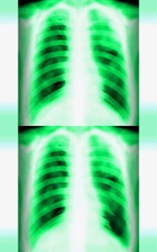 Lifesigns: Hospital Affairs (Nintendo DS) [Importación inglesa]