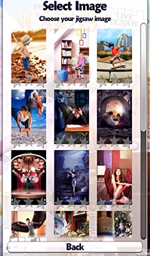 Live Jigsaws - Icarus