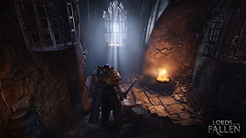 Lords of the Fallen Complete Edition - PlayStation 4 [Importación inglesa]