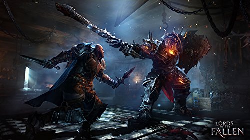 Lords Of The Fallen Limited Edition [Importación Alemana]