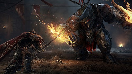 Lords Of The Fallen Limited Edition [Importación Alemana]