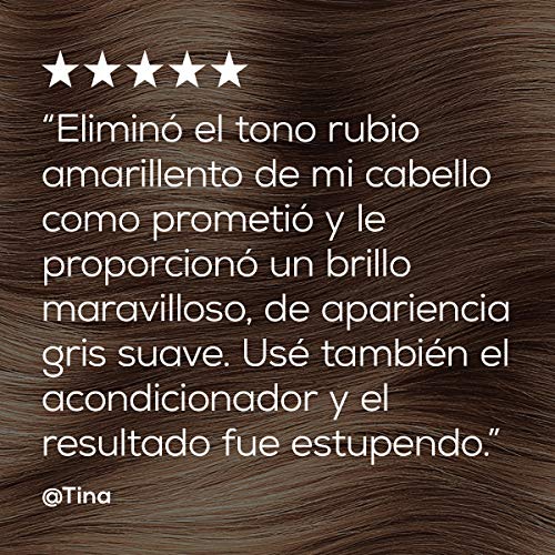 L'Oreal Professionnel Champú Silver para Cabellos Blancos y Grises, 300 ml