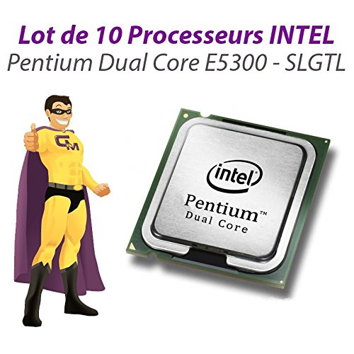 Lot x10 procesadores CPU Intel Pentium Dual Core E5300 2.6 GHz 800 MHz LGA775 SLGTL
